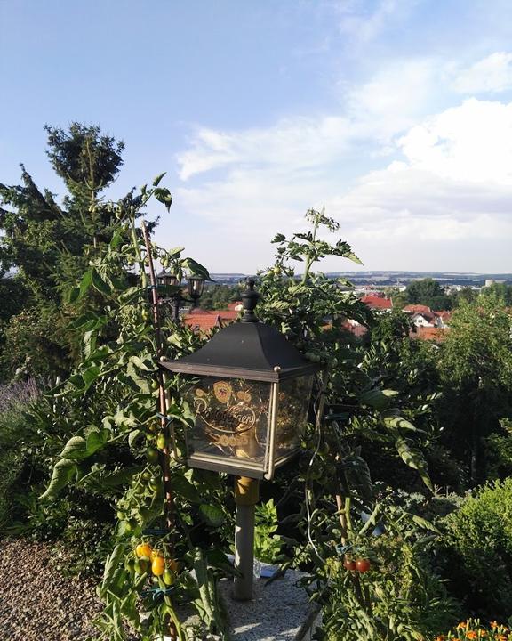 Hotel und Restaurant Waldhaus