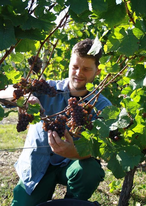 Weingut Pfennig & Marlenes Gutsschänke